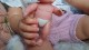 C  Nurserie BRC christelle  (2)